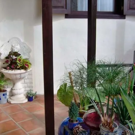 Ferienwohnung Mit Terrasse - F4157 - #95414 Lägenhet Icod De Los Vinos